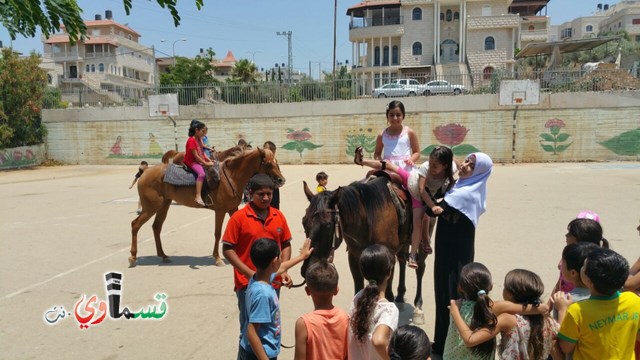 كفرقاسم - فيديو  : تعليم هواية ركوب الخيل في مدرسة جنة ابن رشد في اليوم الرابع لصيف الصادقة 